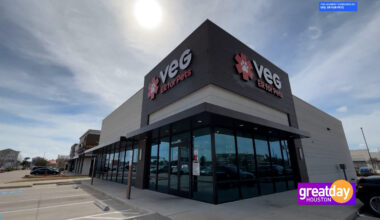 Sponsored: Inside VEG ER for Pets: 24/7 Emergency Care That Keeps You by Their Side