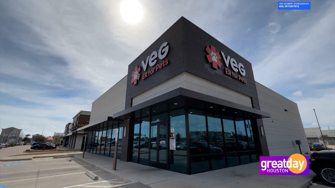 Sponsored: Inside VEG ER for Pets: 24/7 Emergency Care That Keeps You by Their Side