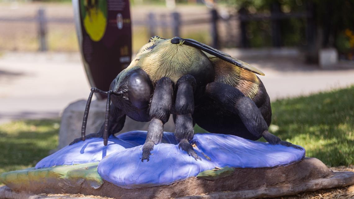 Climb into Spring: San Antonio Zoo premieres larger-than-life ‘Pollinators’ exhibit