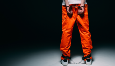 A picture of the back of a detained individual with handcuffs and leg chains.