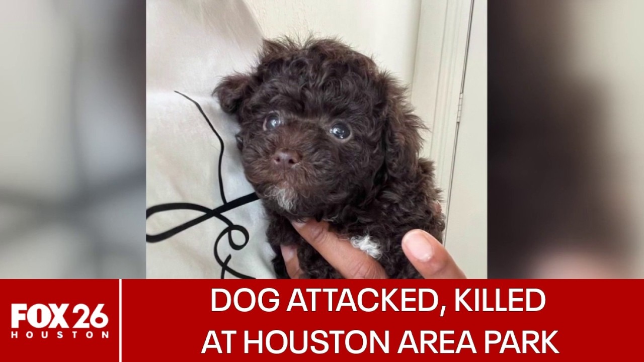 Small dog killed at Houston-area park