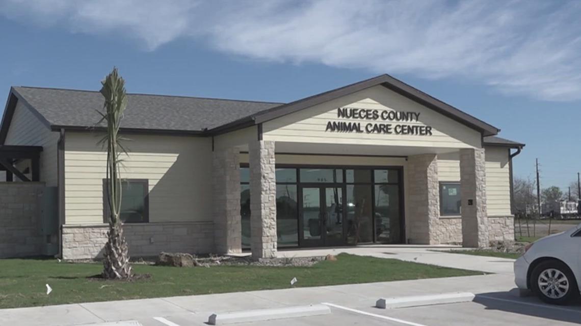 An inside look into Nueces County's new Animal Care Center