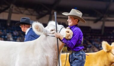 Hood County teen, 'White Castle' win Grand Champion Steer award at Fort Worth Stock Show and Rodeo