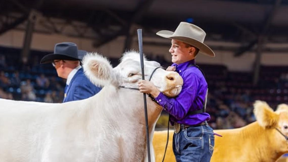 Hood County teen, 'White Castle' win Grand Champion Steer award at Fort Worth Stock Show and Rodeo