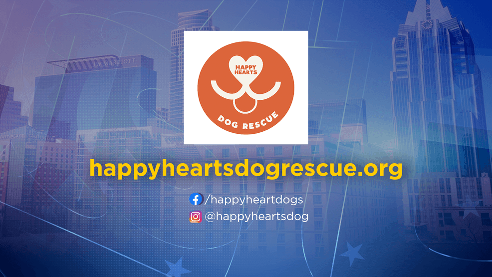 For more information on Tortellini, Ravioli, adoption, or how to support or foster, head to Happy Hearts Dog Rescue's website.