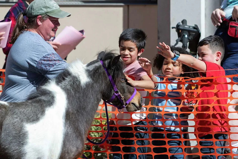 Children pet a miniature horse during the Western Heritage Parade on Saturday, Feb. 7, 2026. (Blaine Young/Contributor)
