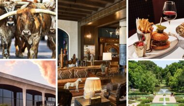 12 Best Hotels, Restaurants, and Experiences