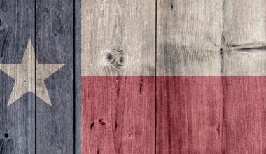 Everything you need to know about the Texas primaries