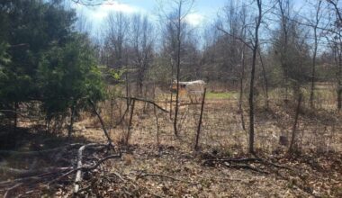 Funding Available for Grassland Restoration in High Plains, Rolling Plains of Texas