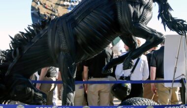 Thank you, Hustle Belt. From, Texas.