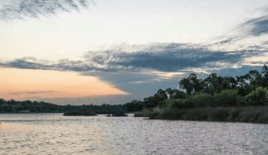 Pasadena named No. 3 best place to retire in Texas