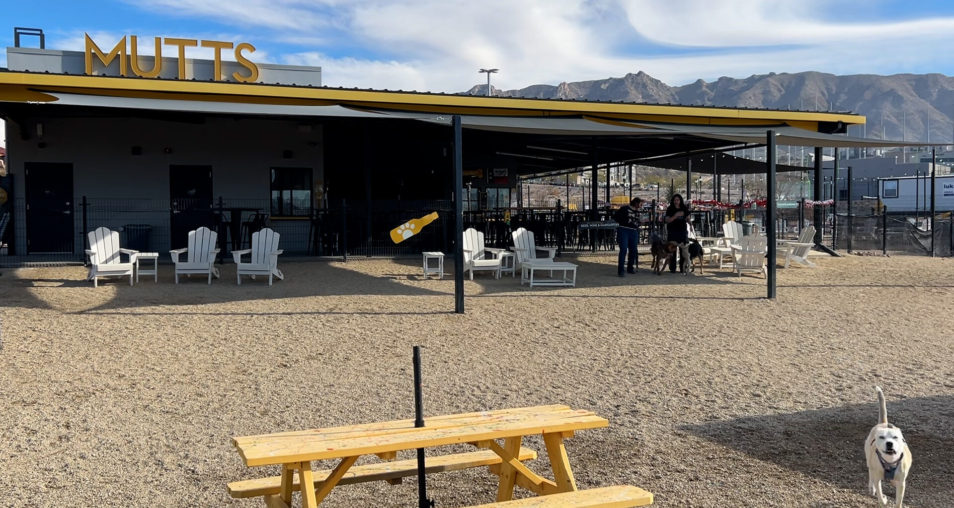 Muttz shares business struggles, decline in customers