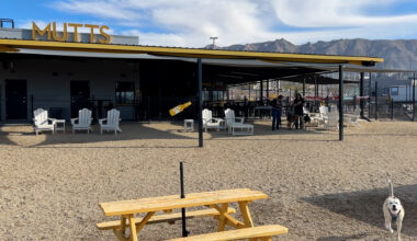 Muttz shares business struggles, decline in customers