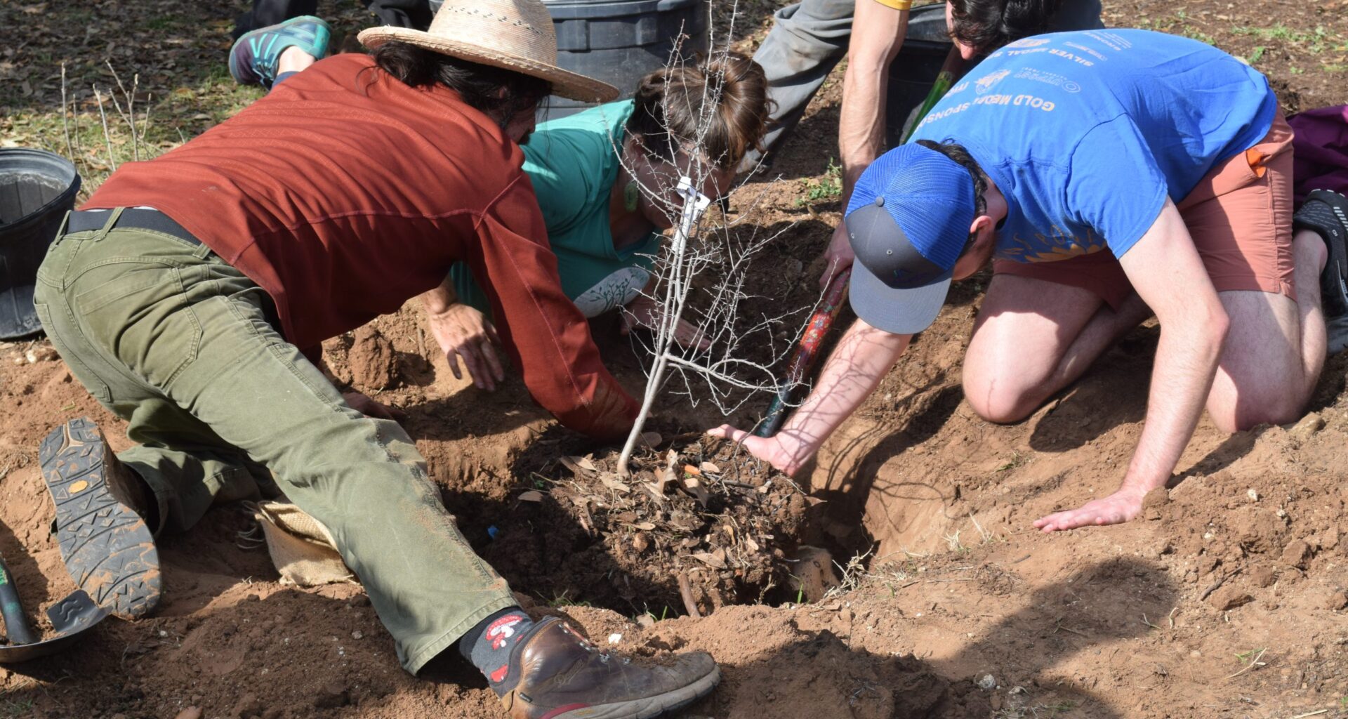 I-35 Expansion Threatens Austin’s Only Food Forest • The Austin Chronicle