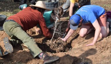 I-35 Expansion Threatens Austin’s Only Food Forest • The Austin Chronicle