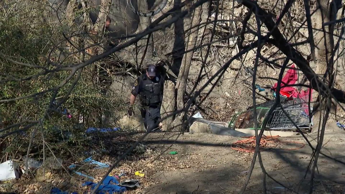 Police investigate deadly shooting at Dallas encampment – NBC 5 Dallas-Fort Worth