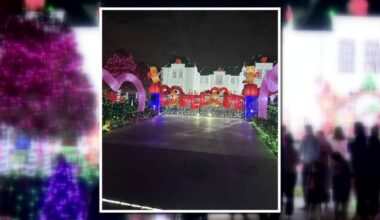 Dallas declines ordinance to charge viral holiday house for traffic costs