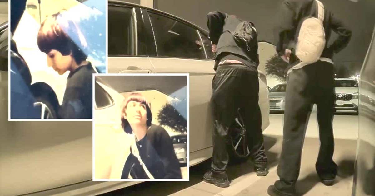 Trackdown: Bishop Arts residents plagued by vehicle break-ins