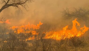 West Texas Wildfires Continue to Impact Texas Ag