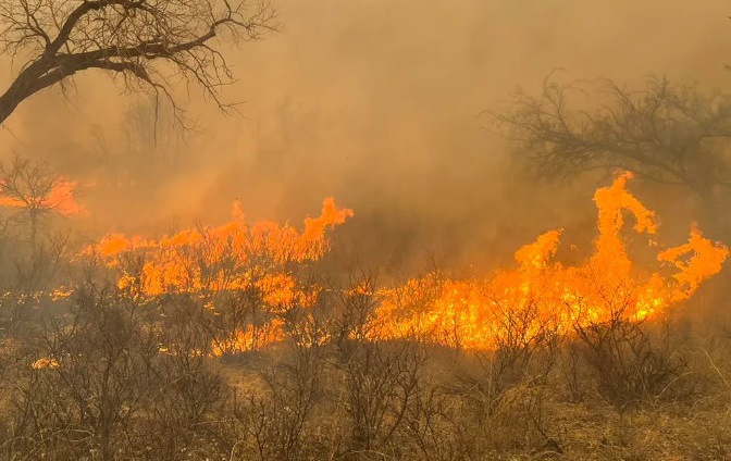 West Texas Wildfires Continue to Impact Texas Ag