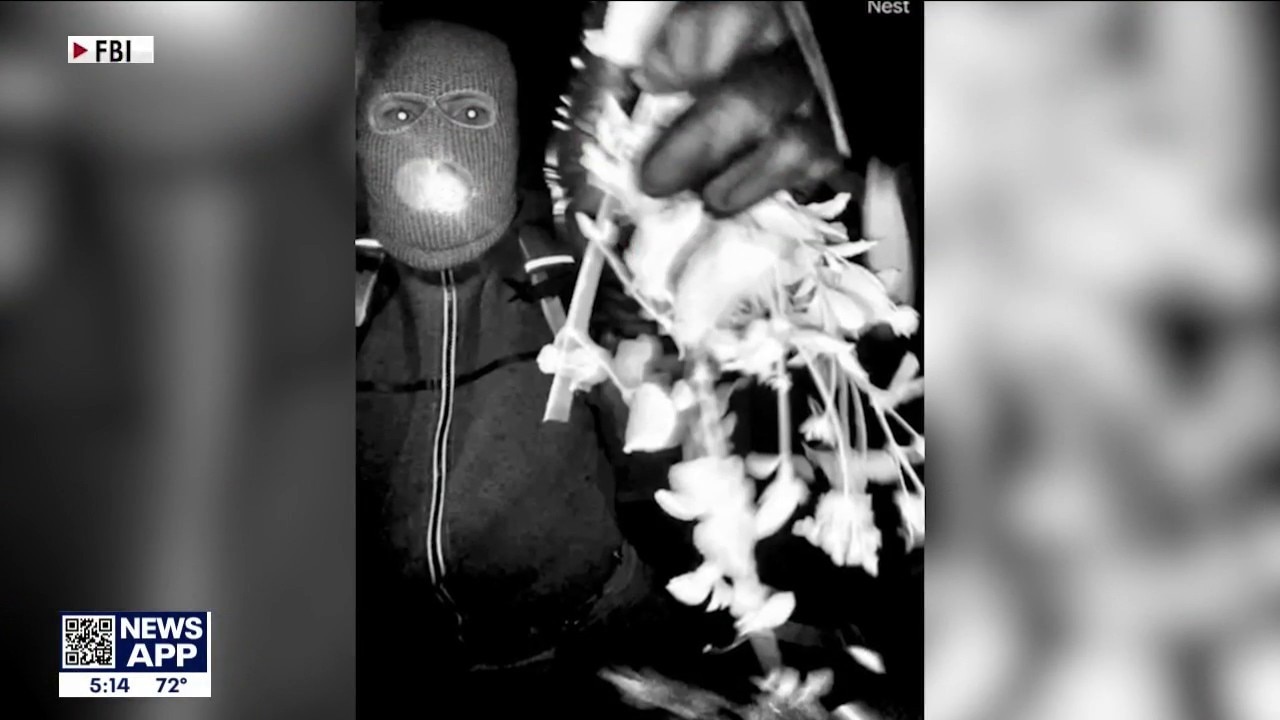 New video released in search for Nancy Guthrie