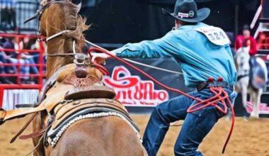 Top 7 things to do in San Antonio February 11-14 weekend