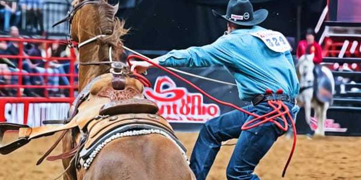 Top 7 things to do in San Antonio February 11-14 weekend