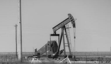 Texas ESG law struck down, EY exits