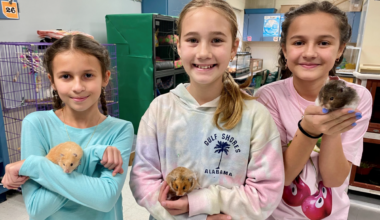 This Plano Elementary School Has An Axolotl — Plus Ferrets, Hedgehogs And More - Local Profile