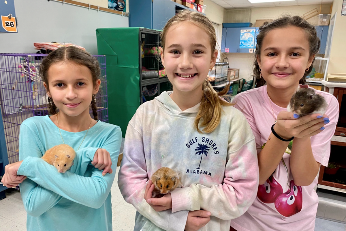 This Plano Elementary School Has An Axolotl — Plus Ferrets, Hedgehogs And More - Local Profile