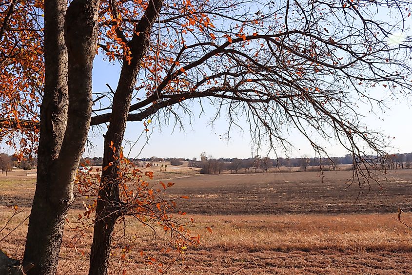 Prairie view of the Oak Point Nature Preserve, Plano, Texas.