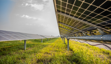 Utility-scale solar shines in Texas despite tariffs, federal policy changes