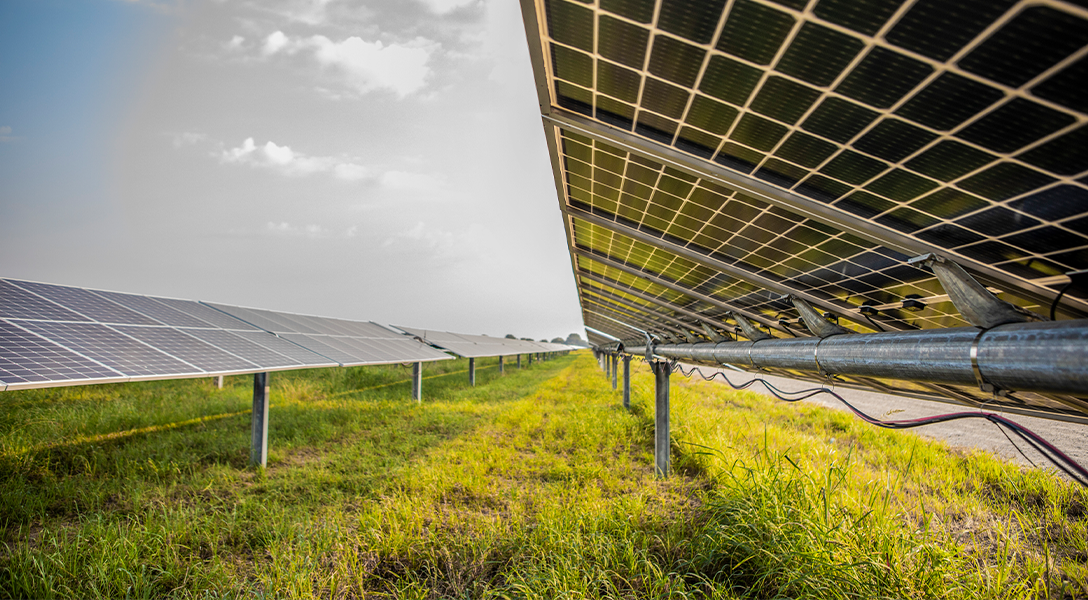 Utility-scale solar shines in Texas despite tariffs, federal policy changes