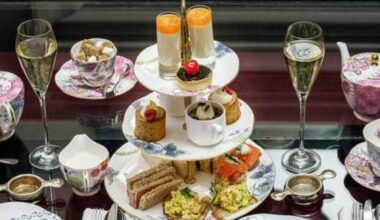 Tea Around Town bus tour draws negative criticism in SA