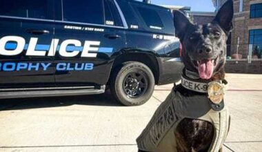 5 Dallas neighbors make 2026 list of safest cities in Texas