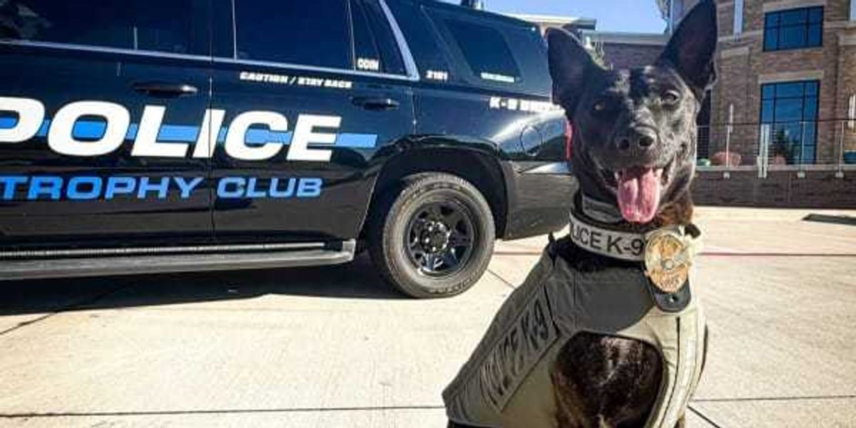 5 Dallas neighbors make 2026 list of safest cities in Texas