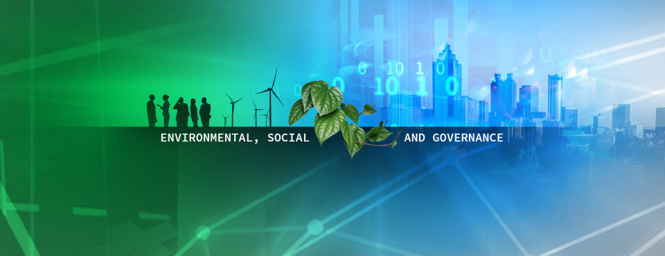 Texas Fossil Fuels Ruling May Be a Step Back for ‘Anti-ESG’ Laws