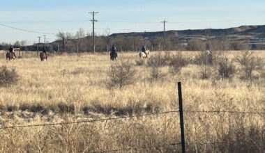 Human remains located in Security-Widefield area, believed to be suspicious