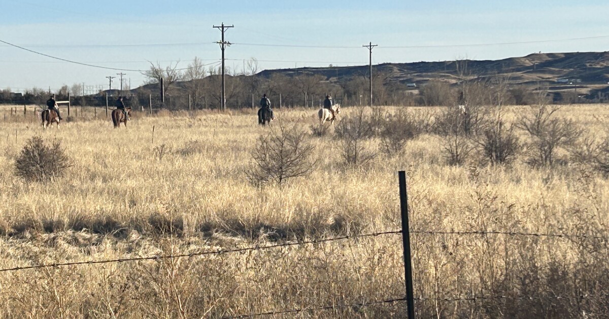 Human remains located in Security-Widefield area, believed to be suspicious
