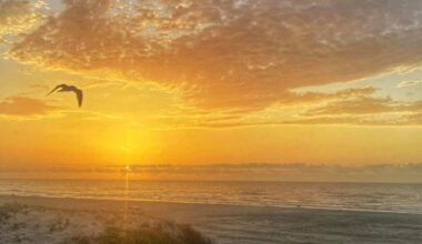 Corpus Christi approves beach parking fee increase to $20 annually