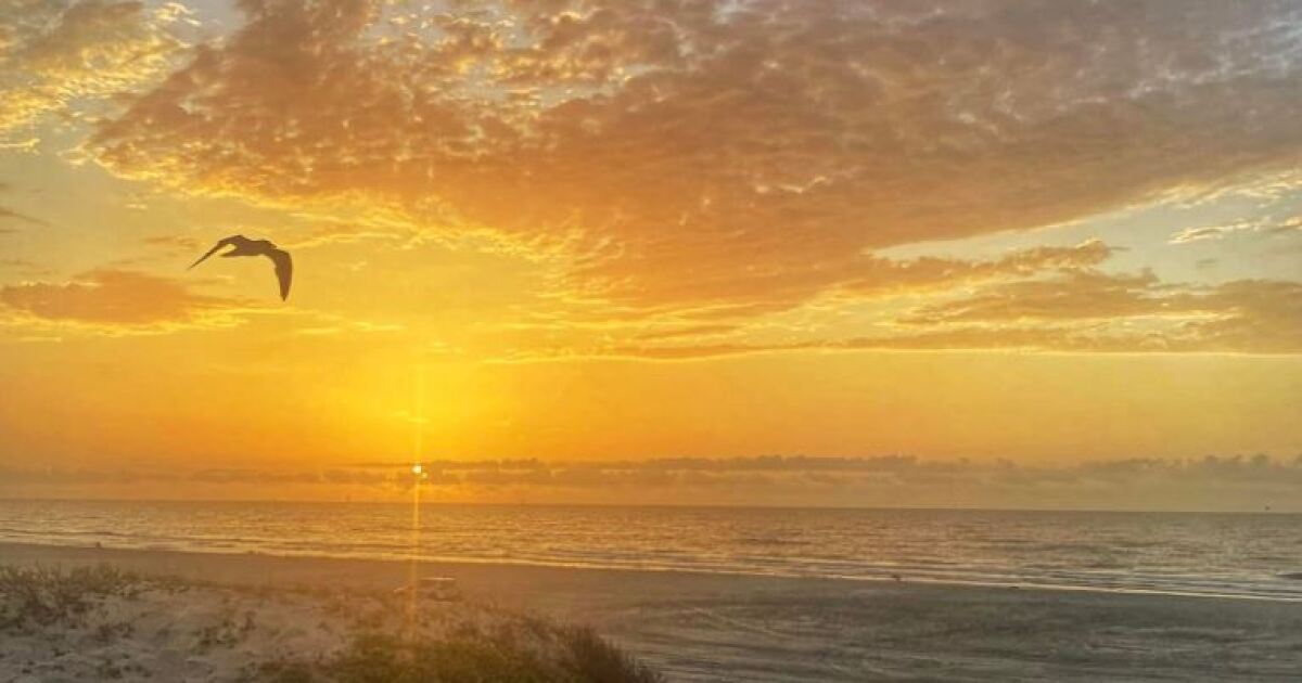 Corpus Christi approves beach parking fee increase to $20 annually