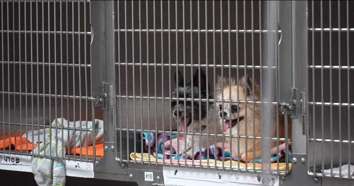 PAAC awarded $500,000 in state funding