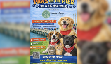 Paws on the Pier 5K & 1K Wag Walk coming to Cole Park this March