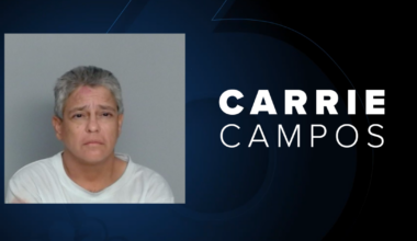 Local woman sentenced to 60 years in prison for 2025 drunk driving crash