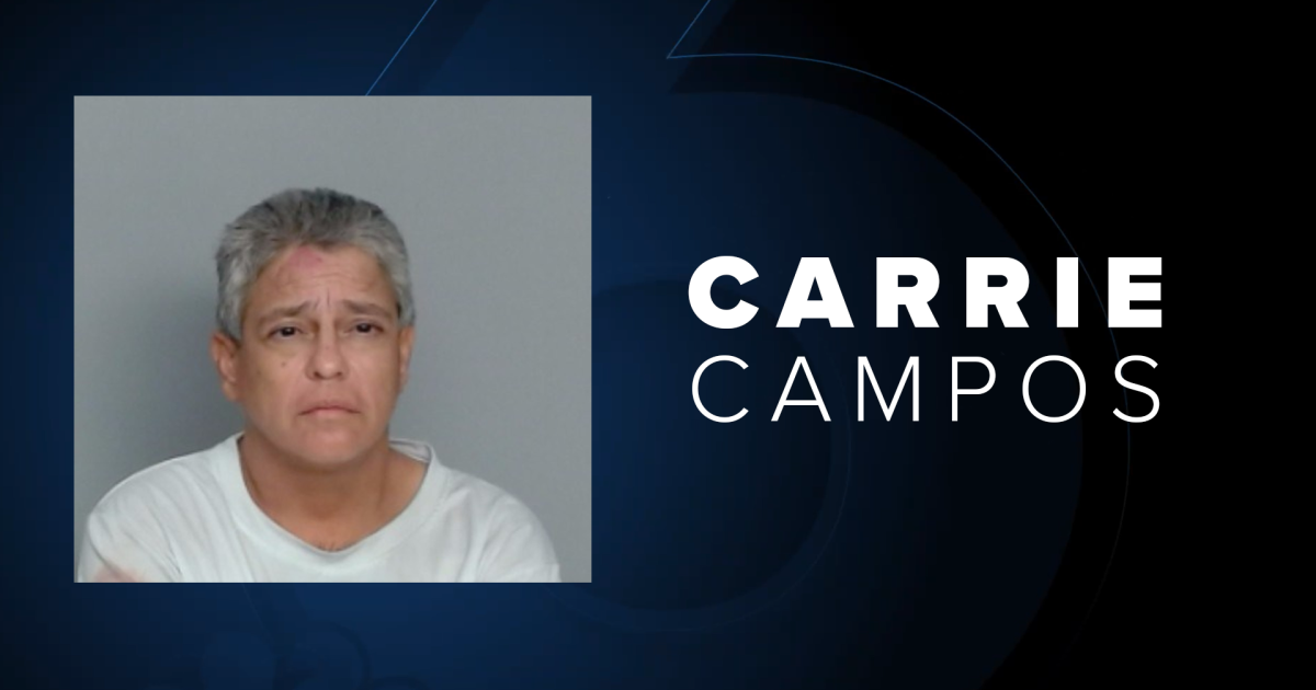 Local woman sentenced to 60 years in prison for 2025 drunk driving crash