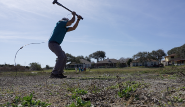 Flour Bluff dry pond aids wetlands research