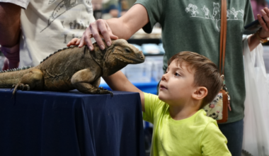 Exotic Reptile and Pet Show returns to Robstown for another year of fun