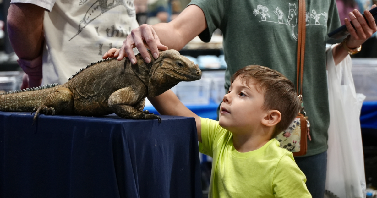 Exotic Reptile and Pet Show returns to Robstown for another year of fun