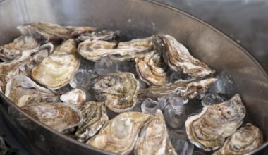 Texas Oyster Round Up Returns to Corpus Christi