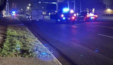 Fatal crash on Greenwood Dr and Horne Rd under investigation